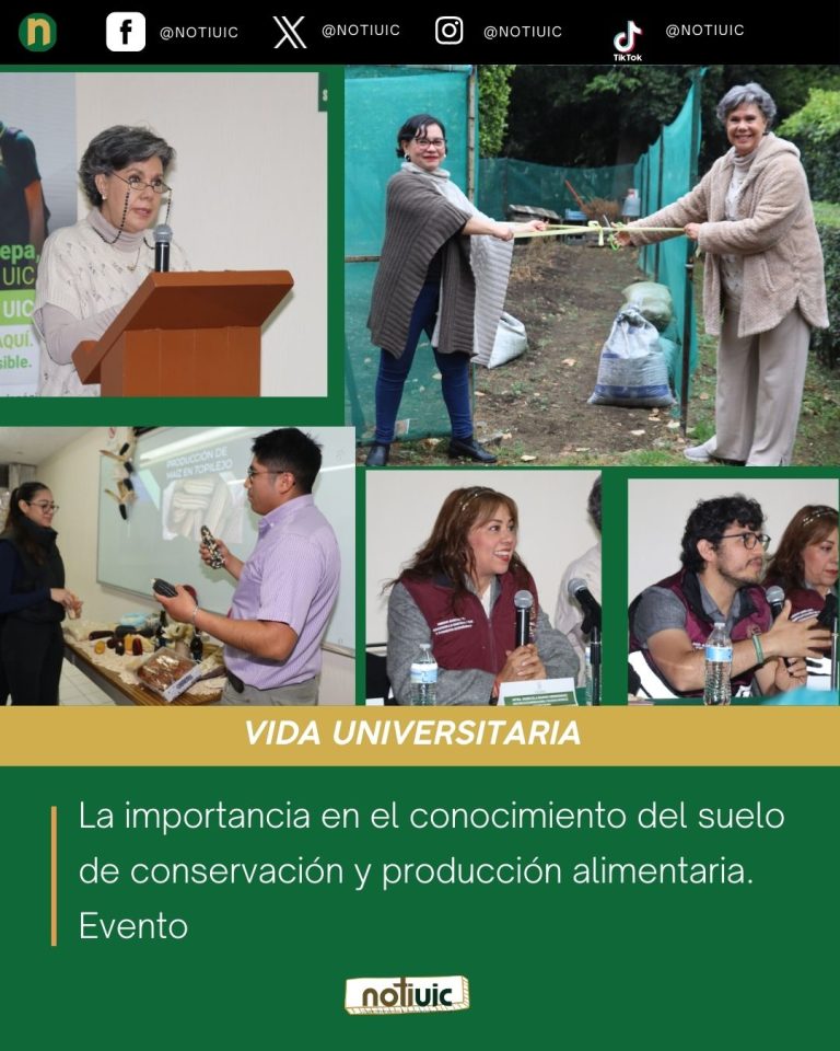 VIDA UNIVERSITARIA (14)