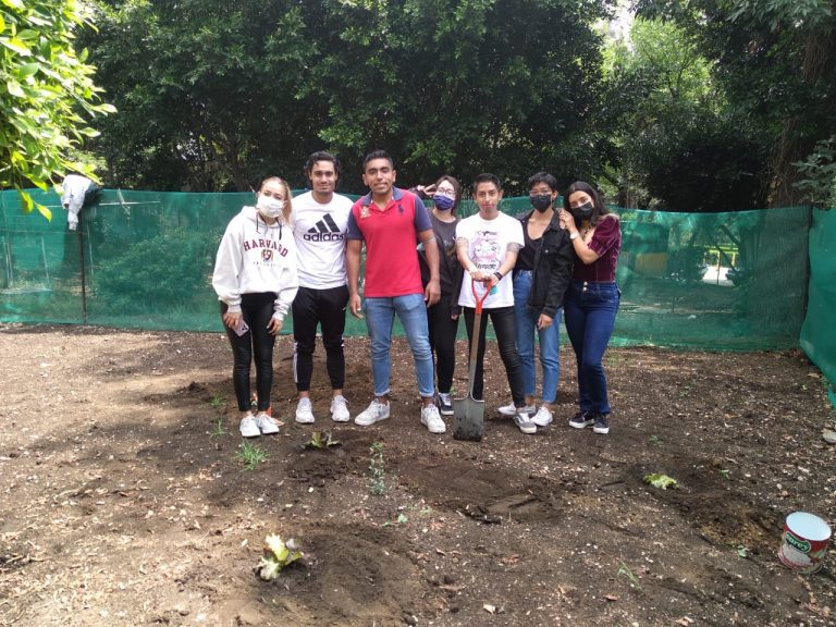 Estudiantes de Nutrición dan mantenimiento al Huerto Universitario