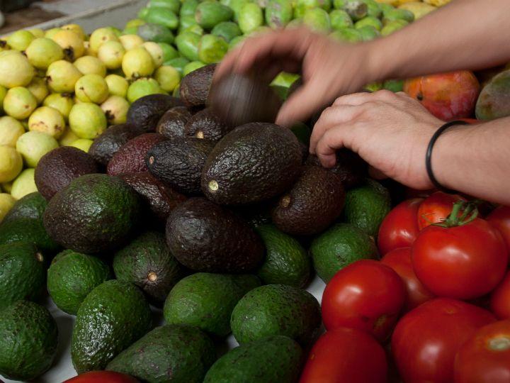 La seguridad y autosuficiencia alimentaria y su relación con el comercio internacional